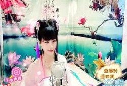 元芳爆料视频大全集播放,揭秘幕后真相，带你领略网络风云