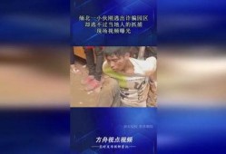 当地人的爆料视频,村民爆料视频曝光惊人真相