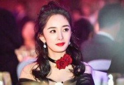 娱乐圈爆料明星们有哪些,明星们的秘密生活大揭秘