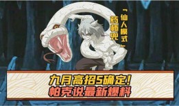 s忍最新爆料,神秘爆料揭示忍者世界新篇章