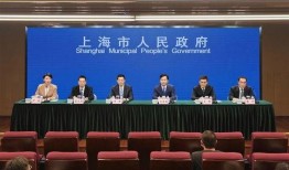 上海新闻爆料记者电话,电话背后的真相与挑战