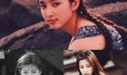 美人1973在线观看,穿越时空的绝色传奇