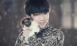 韩娱圈内真实爆料伯贤,揭开韩娱圈背后的真实故事