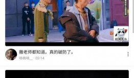 沈毅微博爆料视频大全集,揭秘事件真相与幕后黑幕