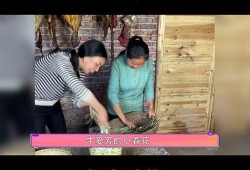 网红二胎爆料事件视频,揭秘背后惊人真相