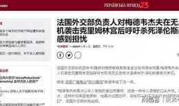 俄专家惊人爆料视频下载,揭秘视频背后的真相