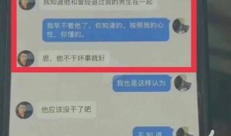 在哪看官方爆料记录最新,揭秘最新动态，尽在这份详尽盘点