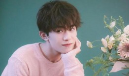 娱乐吃瓜妹易烊千玺小说,娱乐圈的甜蜜瓜田