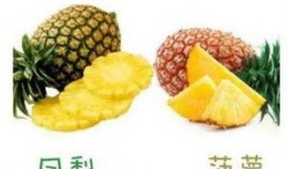 凤梨独家爆料怎么做视频,揭秘视频制作背后的秘密