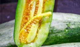 网红吃瓜爆料情报处,揭秘娱乐圈幕后真相，吃瓜群众齐围观