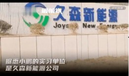 临武网红最新事件爆料新闻,揭秘背后真相与网络舆论风暴