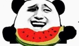 微信吃瓜群众免费吃瓜,免费吃瓜！微信“吃瓜群众”带你畅享瓜界盛宴
