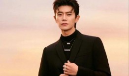 最新爆料男星是谁啊,神秘男星身份揭晓，真相令人震惊！