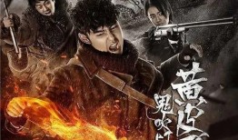 黄皮子坟电视剧在线观看,探寻神秘东北风情，重温经典传奇故事