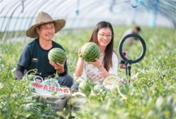 赵一菲吃瓜完整版免费,完整版免费放送，娱乐圈幕后真相曝光
