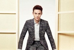 刘大锤爆料王凯视频,揭秘明星幕后生活片段