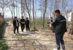 豫东周兵最新爆料,揭秘神秘事件背后真相