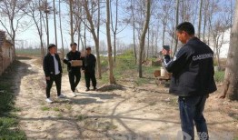 豫东周兵最新爆料,揭秘神秘事件背后真相