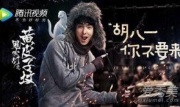 黄皮子坟电视剧在线观看,探寻神秘东北风情，重温经典传奇故事