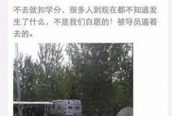 河北美院爆料视频大全最新,揭秘校园风云与艺术魅力