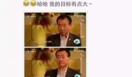 天涯爆料李家诚视频完整版,李家诚视频完整版揭秘，内幕细节令人震惊