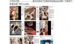 苏菲爆料名单大全视频,揭秘娱乐圈不为人知的秘密