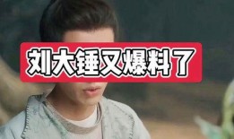 八卦爆料刘大锤视频全集,刘大锤视频全集深度解析
