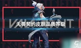 皮肤最新爆料无畏契约,揭秘皮肤最新爆料，视觉盛宴即将来袭！