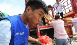 郑州大学生免费吃瓜,学生免费畅享瓜果盛宴