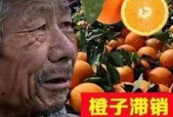 大爷爆料茶叶事件视频,大爷爆料视频曝光惊人真相