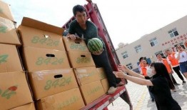 郑州大学生免费吃瓜,学生免费畅享瓜果盛宴