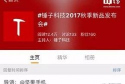 锤子最新爆料,颠覆性新品即将亮相，引领科技潮流新篇章！”