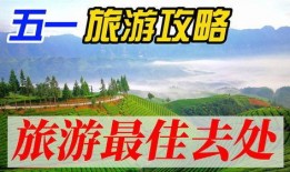 五一景区爆料事件视频,惊现惊人一幕，游客权益引热议