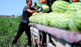 石家庄信工新瓜最新爆料,揭秘信工最新动态与热点事件