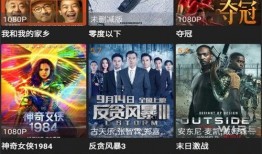 狼道网友爆料视频下载,揭秘网络背后的真实世界