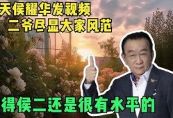 二爷最新爆料新闻视频,揭秘娱乐圈惊人内幕