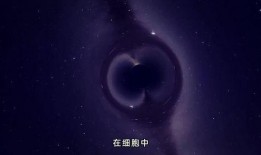 爆料宇宙真相视频下载