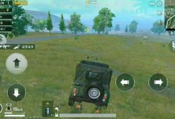 小胖吃鸡爆料视频,揭秘游戏幕后故事与精彩瞬间