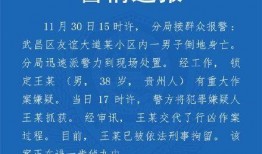 湖北教育爆料最新消息视频,视频揭示教育领域重大动态