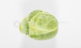 吃瓜照片配乐下载免费,免费下载吃瓜照片配乐，感受夏日清凉旋律