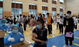 枫丹游泳爆料最新消息,揭秘神秘项目背后的故事