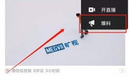 爆料的视频在哪里可以找,探寻爆款视频生成背后的奥秘