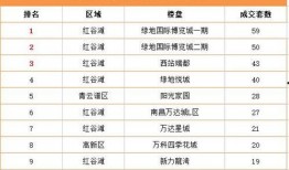 第四区在线观看,揭秘神秘区域的在线观看之旅